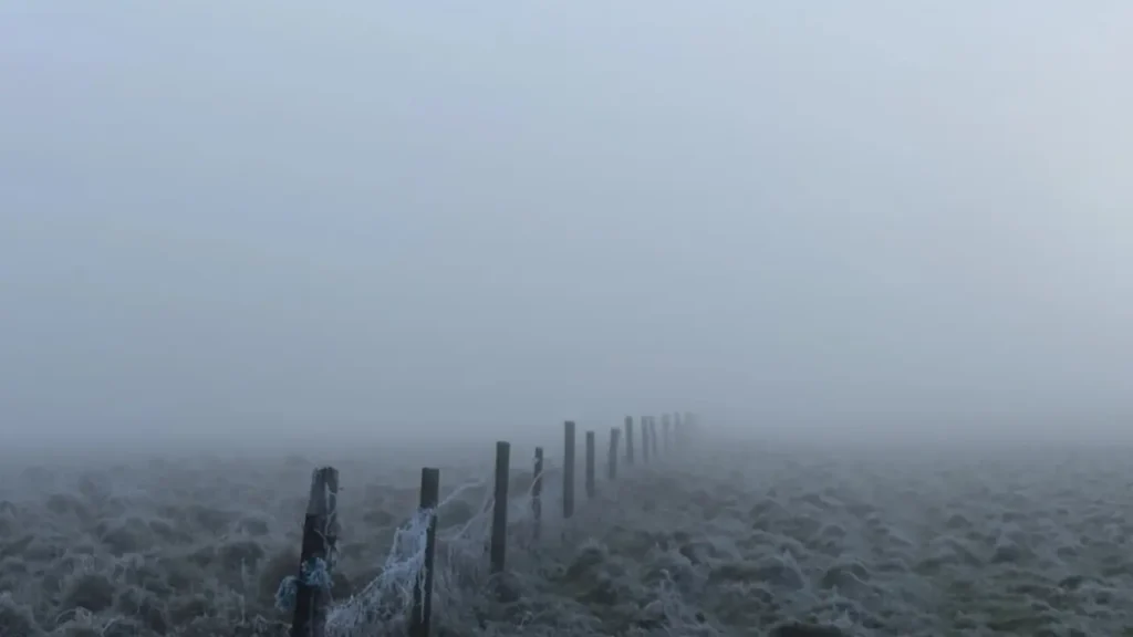 Pastices photo taken by Edyta Domaradzka, a professional photographer from Bristol